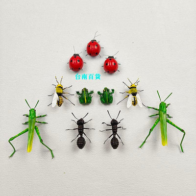 新品仿真昆蟲子擺件青蛙七星瓢蟲標本蜜蜂模型蟬動物工藝裝飾拍攝道具現貨