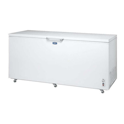SANLUX 台灣三洋 600L 上掀式-30℃低溫冷凍櫃 *SCF-610T*