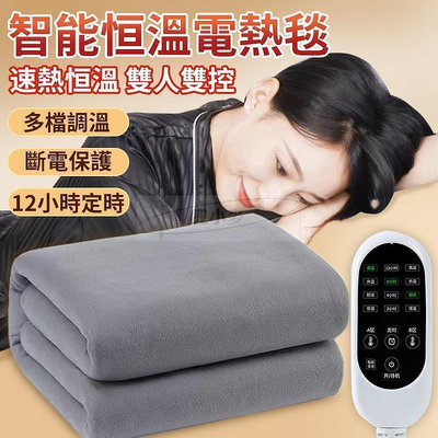 【現貨】 110V智能恆溫電熱毯 雙人雙控 電熱毯韓國 電暖器 電暖爐 雙人電熱毯 單人電熱毯 露營 電熱毯 電