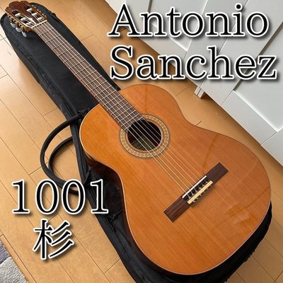 【老琴全新品相】正西班牙製 Antonio Sanchez 1001 雪松單板古典吉他
