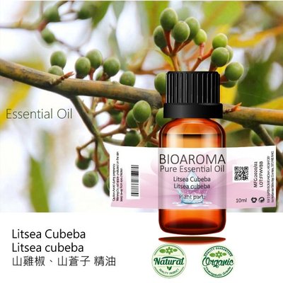 【芳香療網】Litsea Cubeba - Litsea cubeba 山雞椒、山蒼子精油 10ml