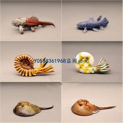 下殺-仿真模型 ﹍仿真遠古時期海洋生物動物模型 鸚鵡螺 矛尾魚 鄧氏魚 鱟擺件玩偶