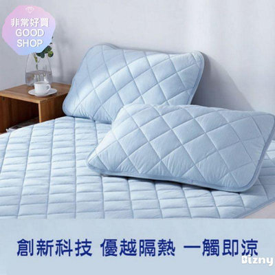枕頭墊熱銷涼感科技保潔 日本科技涼感枕頭墊-小琳商店
