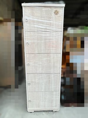 《鑫進行》全新 台灣製 開門收納櫃 5門收納櫃 五門 衣櫃 置物櫃 鋼刷貼皮/全木心板/緩衝五金