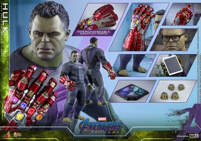 全新 Hot Toys MMS558 1/6 Avengers 復仇者聯盟 終局之戰 Hulk 浩克