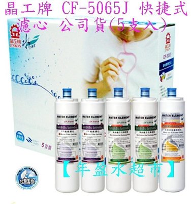 【年盈淨水】《晶工牌》CF-5065J 快捷式濾心 全新品公司貨(5支入)