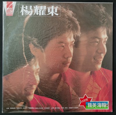 楊耀東 怎么能夠 海濱少年 黑膠唱片LP 未拆封