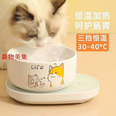 【現貨】貓咪恆溫飲水機 冬天加熱陶瓷水碗 大容量幼貓喝水器 專用 寵物用品