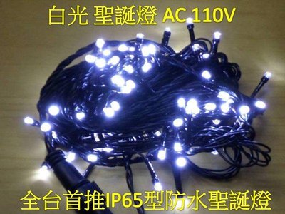 [嬌光照明]LED聖誕燈 110V/220V全白光 IP65防水 新式接頭串接可同步 純銅線 LED燈 LED植物燈批發
