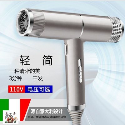 【善一居】現貨 吹風機 鬃毛梳 臺灣專用110V新概念吹風機智能變頻大功率電吹風家用宿舍髮廊錘子吹風筒