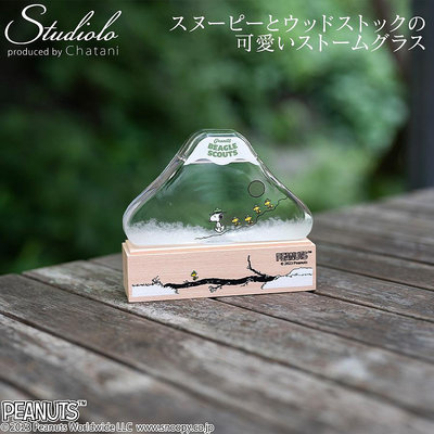 預購 日本 snoopy 史努比 Beagle Scout 50週年 富士山造型 風暴玻璃 天氣瓶 裝飾 擺飾