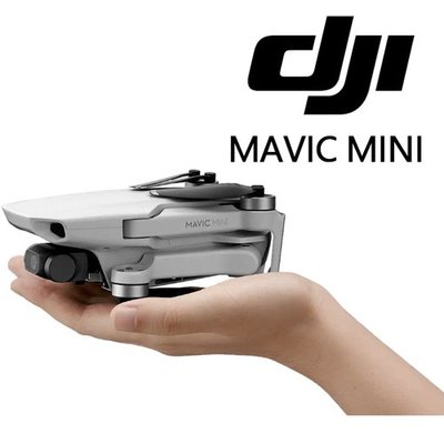 DJI Mavic Mini 超輕巧型空拍 暢飛套裝聯強公司貨(DJI Care隨心換保險保固服務套組)