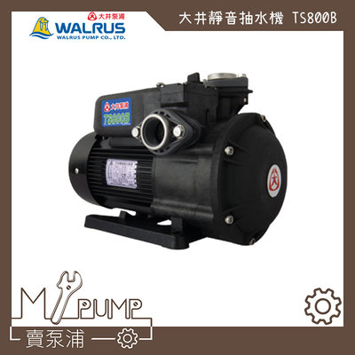 【MY.PUMP 賣泵浦】大井 Walrus TS800B 靜音式抽水機 1HP 抽水馬達 TS800 水機不生鏽