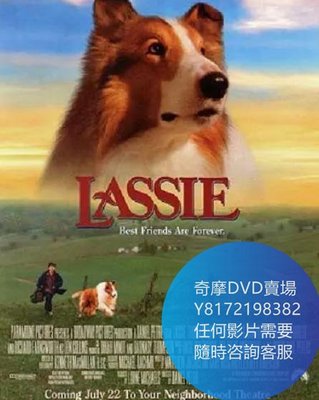 DVD 海量影片賣場 新靈犬萊西/Lassie  電影 1994年