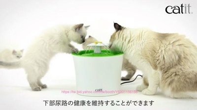 【阿肥寵物生活】日本GEX Catit 湧泉花朵飲水機 貓用淨水 // 犬.貓飲水器 // 免運