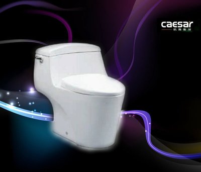【 達人水電廣場】 CAESAR 凱撒衛浴 C1353 -30公分 虹吸式 單體馬桶