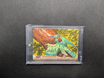 2015 Upper Deck UD Goodwin Dinosaurs SKETCH CARD 恐龍卡系列 素描卡 1/1 特殊卡