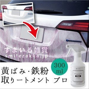 [霜兔小舖]日本代購 日本製 Arnest 車用 去黃垢 鐵粉去除 清潔劑 去鐵粉