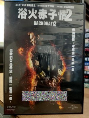 挖寶二手片-Y21-395-正版DVD-電影【浴火赤子情2】-喬安德森 威廉鮑德溫(直購價)