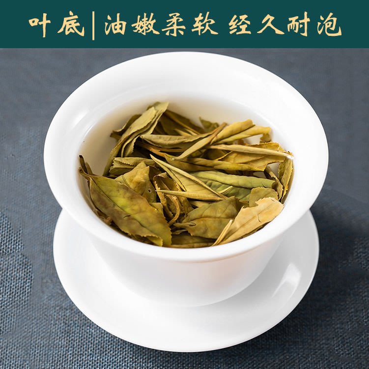 白茶】福鼎大白茶白牡丹餅350g新茶茶葉太姥山老白茶貢眉茶壽眉餅禮盒裝