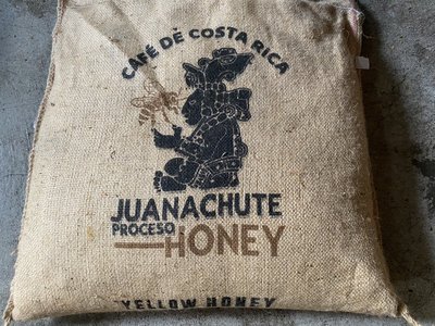南美龐老爹咖啡 哥斯大黎加 塔拉珠 Tarrazu 胡納丘特莊園 Costa Rica 蜜處理 黃蜜處理 生豆 1公斤