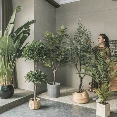 【熱銷精選】仿真植物裝飾花假樹大型仿生室內客廳落地盆栽擺件北歐侘寂風綠植