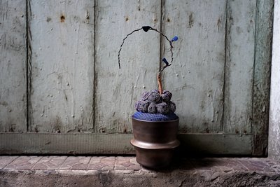 【天堂貨選物】職人手作生活感藍染布龜甲龍植物布偶 刺子布 植栽 陶盆 盆器 塊根植物 生活質感