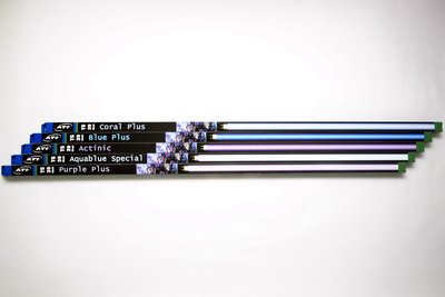 德國 ATI - Purple Plus T5 39W 3呎燈管 (紫紅燈/斐濟紫)