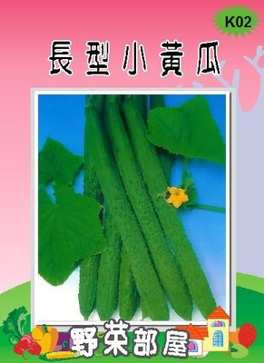 【野菜部屋~】K02日本長型小黃瓜種子8公克(約320顆種子) , 品質穩定 , 口感佳 ~
