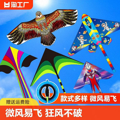 風箏兒童微風易飛2024年濰坊新款大型成大人老鷹草原專用庫洛米