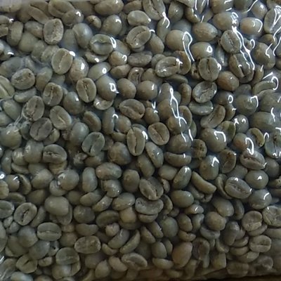 咖啡生豆450g 衣索比亞 吉瑪產區 G4