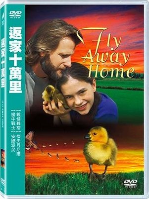 (全新未拆封)返家十萬里 Fly away home DVD(得利公司貨)