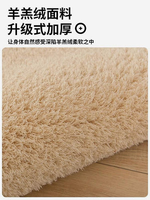西藏冬季加厚羊羔絨床邊地毯客廳臥室ins風房間地墊