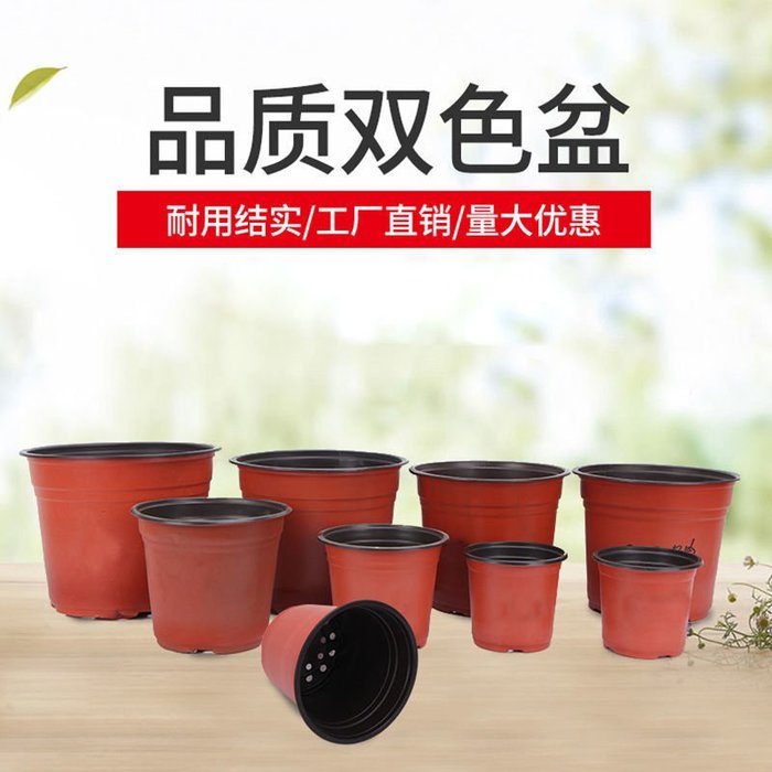 割引ファッション 【未使用】VALIEM BOWL S Willing plant 別注