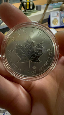 可議價2017年加拿大楓葉銀幣 品相完美12992【懂胖收藏】95