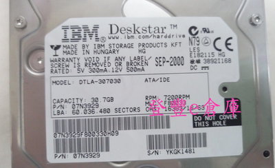 【登豐e倉庫】 YF801 Hitachi IBM DTLA-307030 30G IDE 硬碟