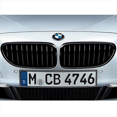 【B&amp;M 原廠精品】BMW E71 X6 正原廠 M Performance 黑色水箱罩 預訂