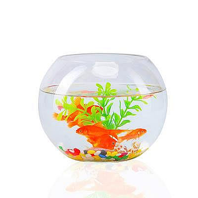 【現貨】小魚缸透明玻璃烏龜缸客廳家用金魚缸辦公室桌面迷你圓形小型魚缸