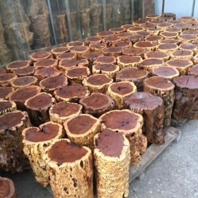 熱銷 棗木墩子原木樹墩根雕凳子木樁花架樹墩實木大板茶幾根雕底座支架簡約