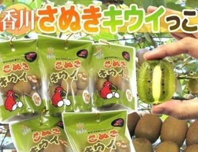 "草莓一族"日本草莓種子/香綠奇異果/10粒入種子