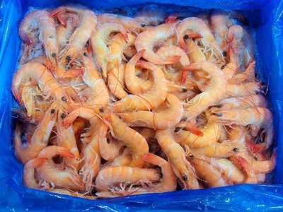 【泰國 熟白蝦 白蝦 80/100 1.2公斤】肉質鮮甜Q彈多汁 保證新鮮『即鮮配』