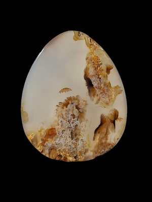 消失的亞特蘭蒂斯珊瑚海 海洋玉髓象形意境牌 不帶展示架，展 古玩 奇石 擺件【天下奇物】1720