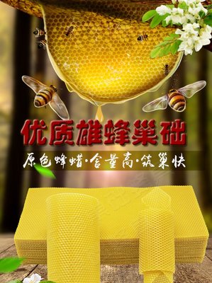 養蜂工具 雄蜂深房巢礎意蜂專用  大量種公生產
