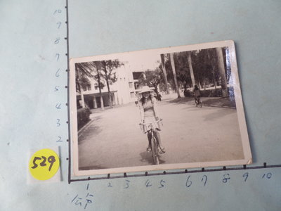 腳踏車,古董黑白,照片,相片1