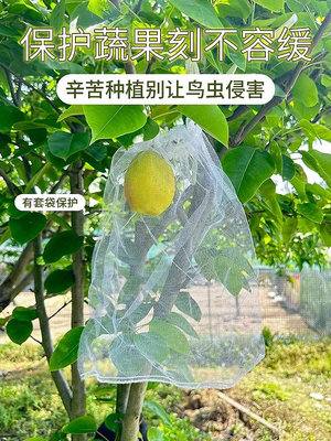 2024水果套袋防鳥防蟲專用紗布袋子菠蘿哈密瓜草莓西瓜果樹保護袋-景秀商城