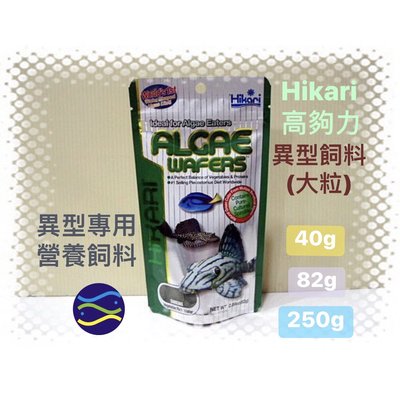 微笑的魚水族☆Hikari-高夠力【異型飼料(大粒)82g】異型專用營養飼料HK-21316