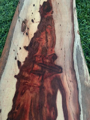 【二手】贊比亞紫檀木工藝品料擺件。長47。寬11。厚2320953【李掌櫃】圓雕 根雕  檀木
