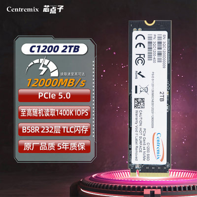 芯點子m2固態硬碟1t筆電nvme PCIe5.0桌機2t電腦4t ps5游戲SSD