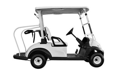 Greenman 2人座 全新全鋁合金、交流馬達高爾夫球車