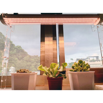 君沛 植物燈 植物燈管 防水植物燈 25瓦 2呎 加強型 全光譜 三防燈 燈管 LED燈管 臺灣製造 保固一年